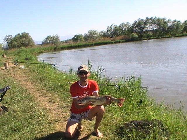 la rapitor - pic0754.JPG